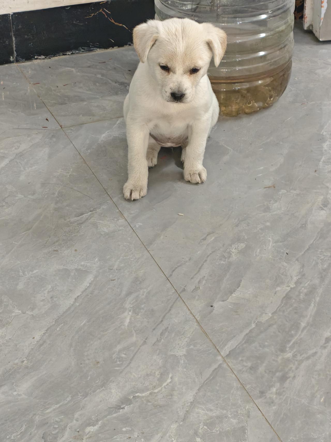 你的社交笨拙，从来不是性格缺陷，是原生家庭欠你的“人际启蒙课”
 
别再骂自己“