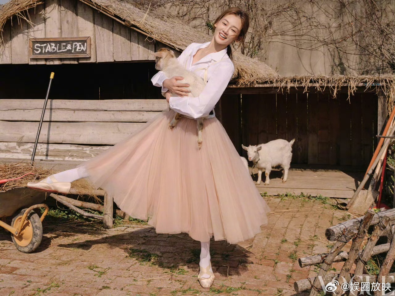 苗苗回应种菜获得大家喜爱苗苗带着羊兔鸡出了一次通告苗苗带着羊兔鸡跑通告也太可爱了