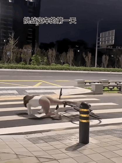 猎人
往往是以猎物的姿态出现[笑哭]