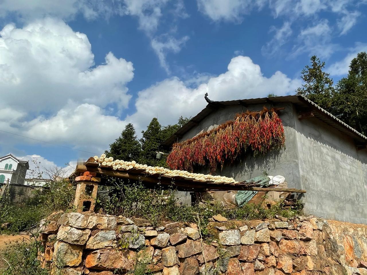 
下乡途中随手拍。