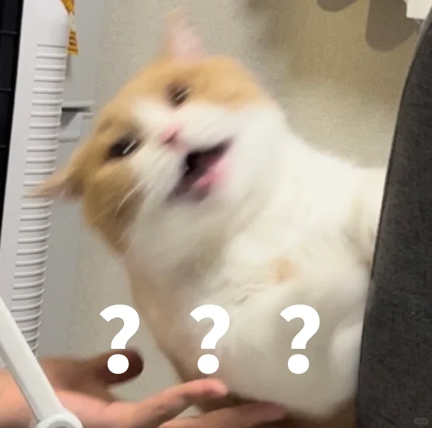 人类真是太坏了