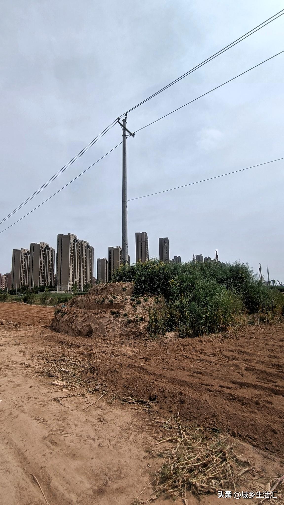 鄭州黃金地塊，寸土尺金。平原電線桿，省會莊稼地，鄭東新區樓面價格過萬，竟然還有耕