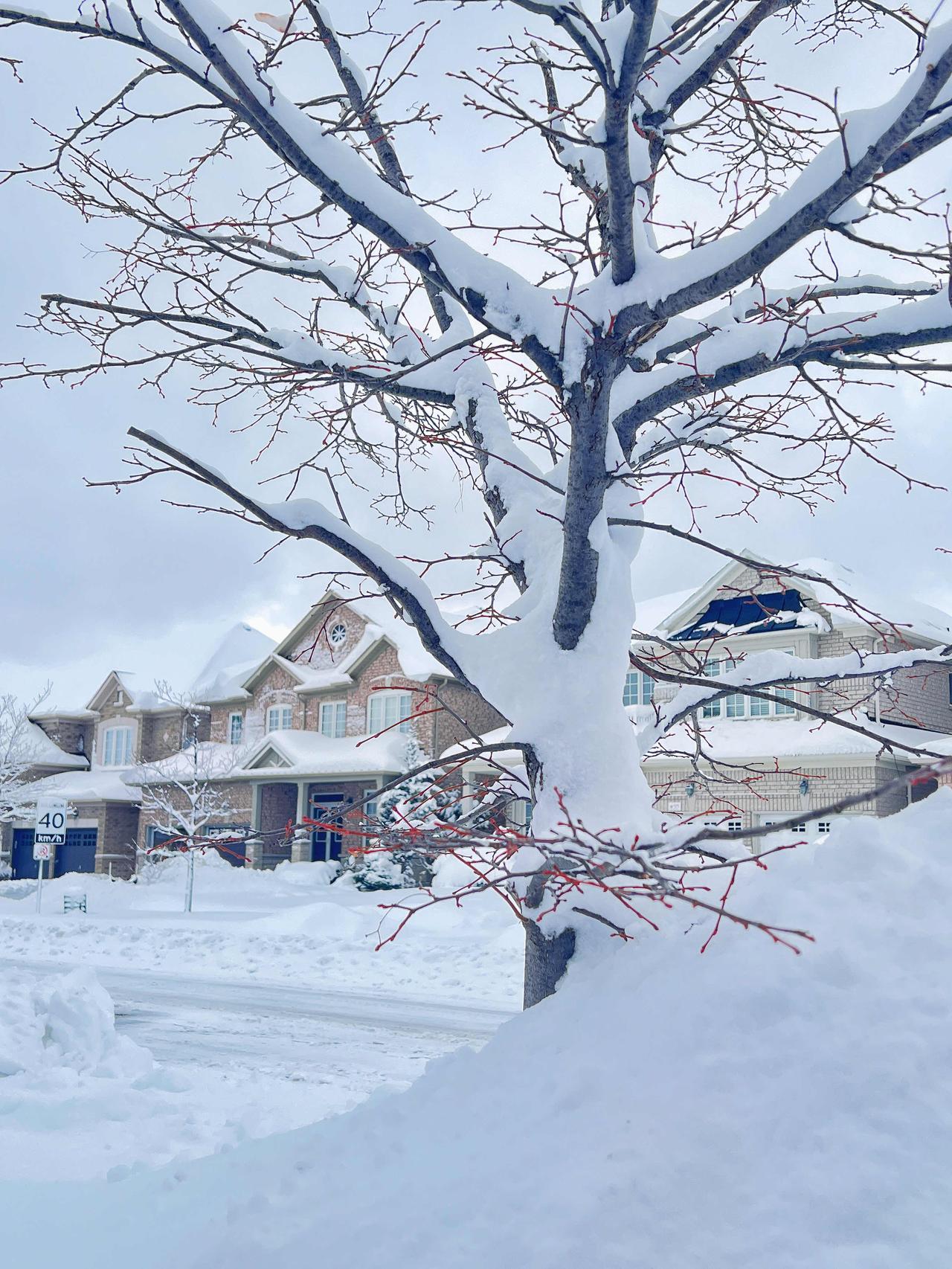 可以发几张雪景吗