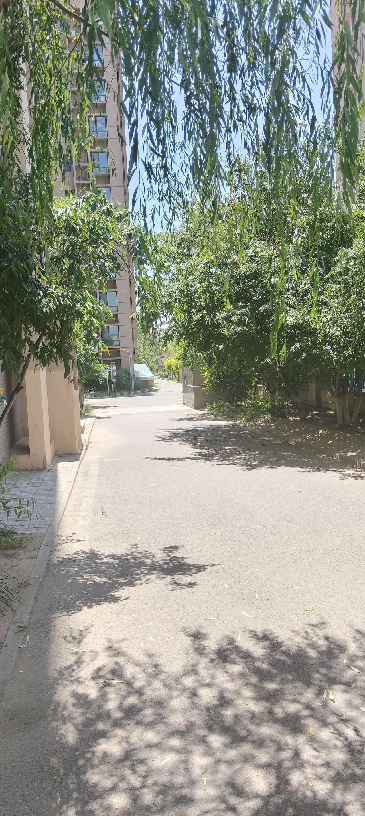 江南文枢苑的园区风景真的像画一样感谢物业全体大力