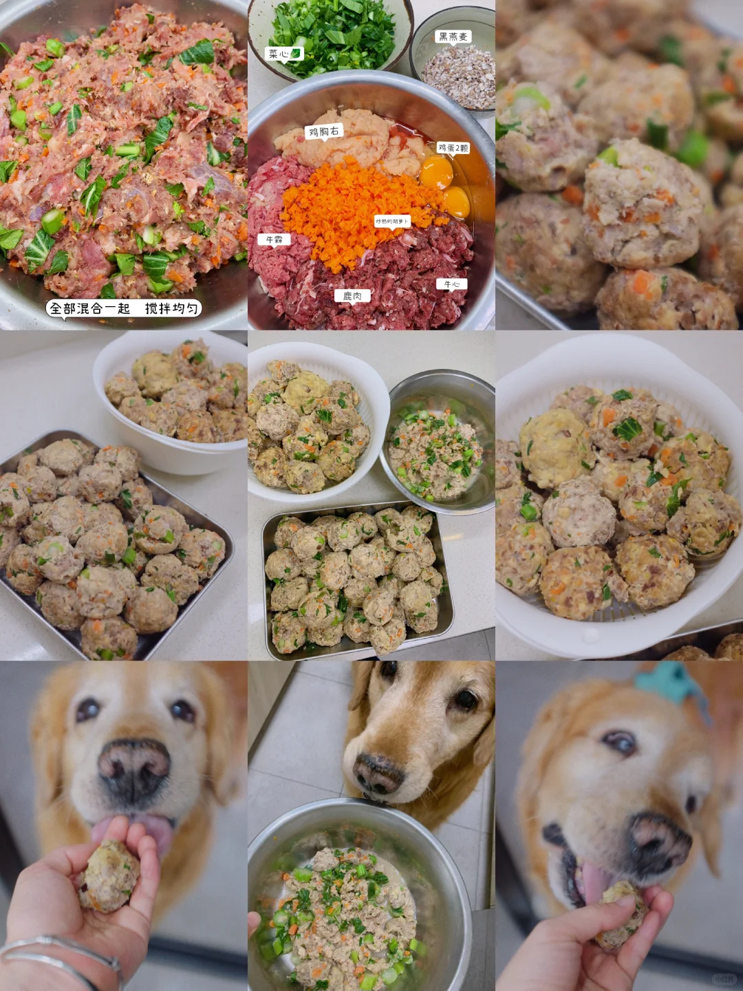 给犬子做点好吃的😛😛