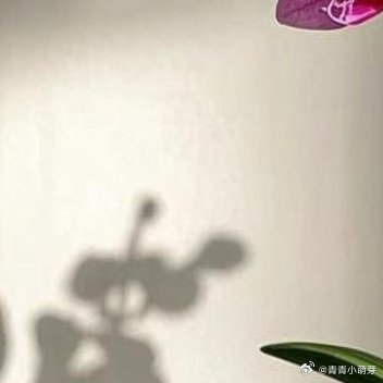 沉下心，慢慢度日，用心感受日常点滴。世间所有温柔与美好，从不在匆忙追逐里，而是隐