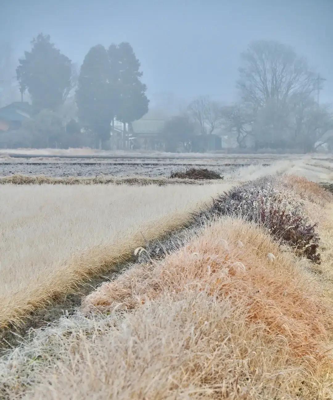 六成已婚男承认偷偷攒私房钱，鞋盒衣柜夹层都塞过，就为买双球鞋请顿烧烤不用打报告。