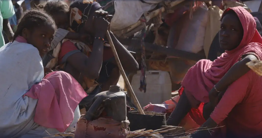 国际组织和欧盟强烈谴责苏丹武装组织攻占城市后在医院进行屠杀，警告达尔富尔将发生大