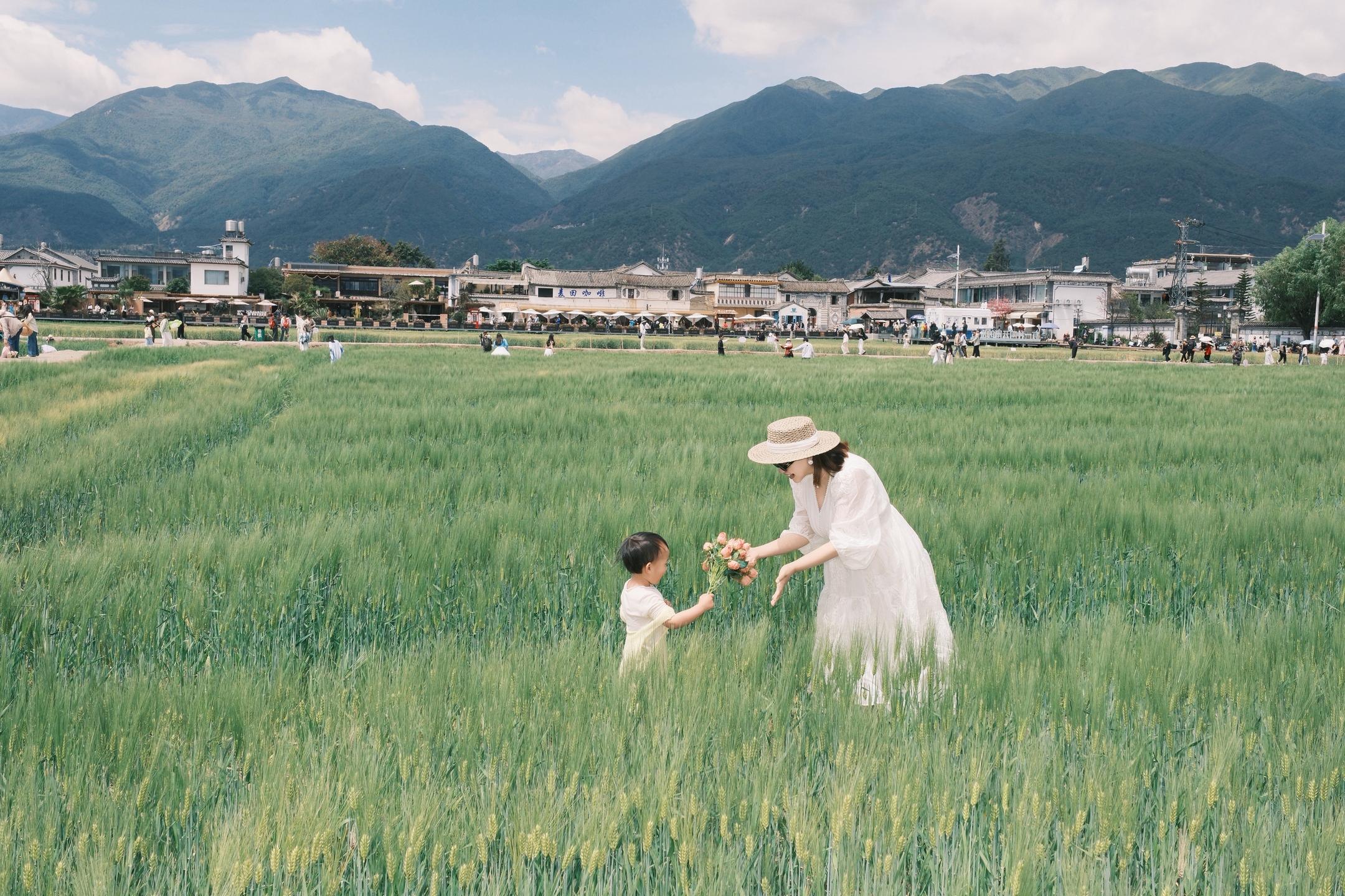 二胎孕27W的我，来到了有风的地方，感受喜洲的风，吹过麦浪
