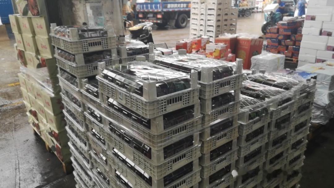 联合国两轮选举，德国和菲律宾双双落选。
很多人第一反应是兴奋——西方信用坍塌，中