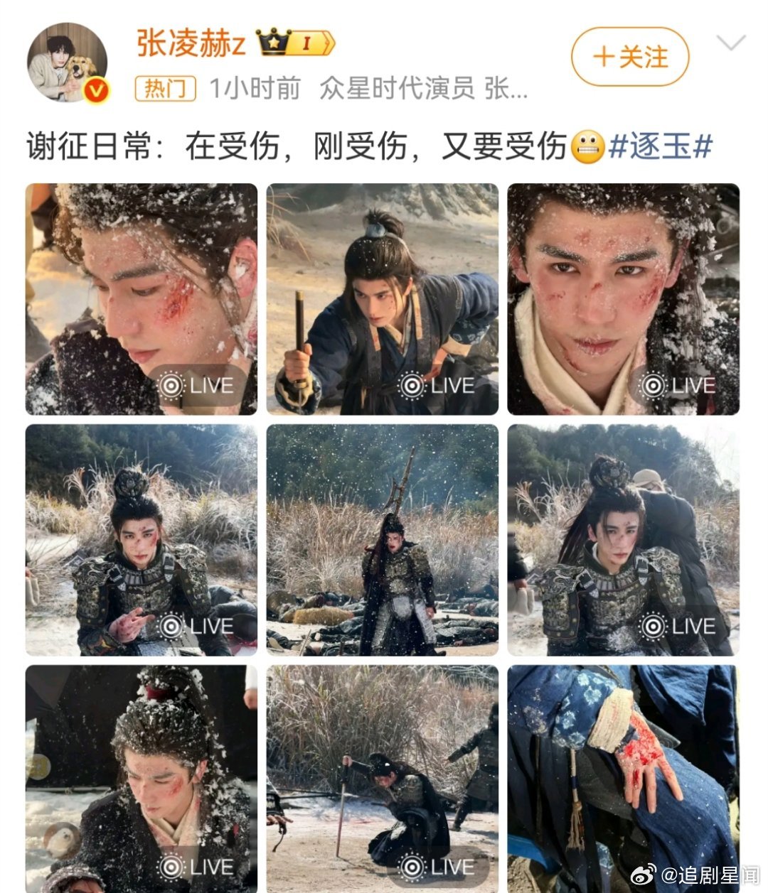 张凌赫晒谢征日常张凌赫晒谢征日常，“在受伤，刚受伤，又要受伤”，脸上带血、雪地摸
