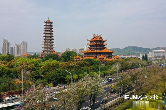 福州现在公交和地铁免费，算是吸引顾客的一个方式吧，就是这两天天气太差了，阴天、下