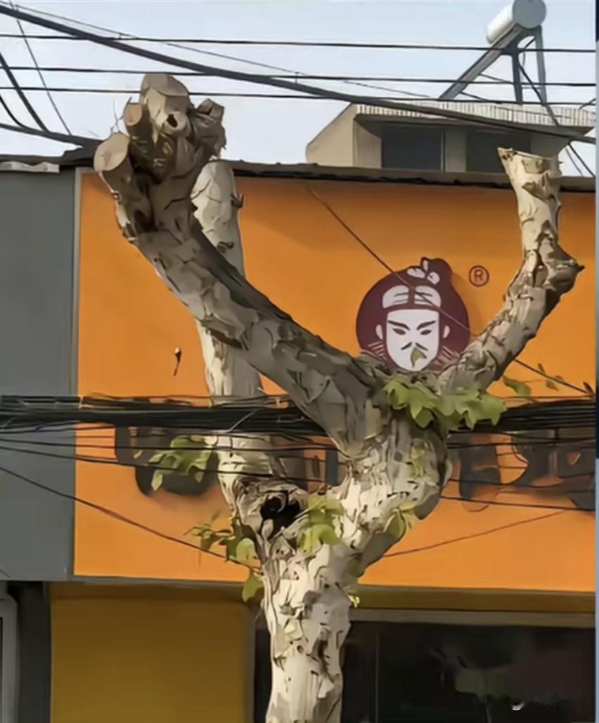 我这个小店怎么样？欢迎光临！[大笑][大笑][大笑]
温柔治愈小店 意外发现的小