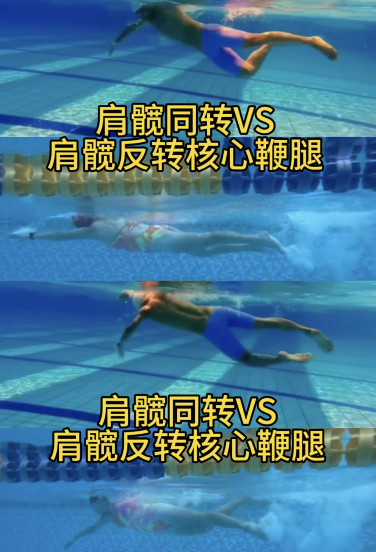 自由泳肩髋同转VS肩髋反转，肢端发力VS核心发力髋驱鞭腿，你学那个我都能教你。其