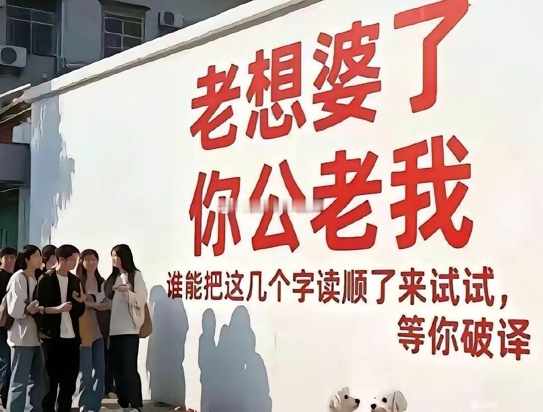 谁能捋顺啊 