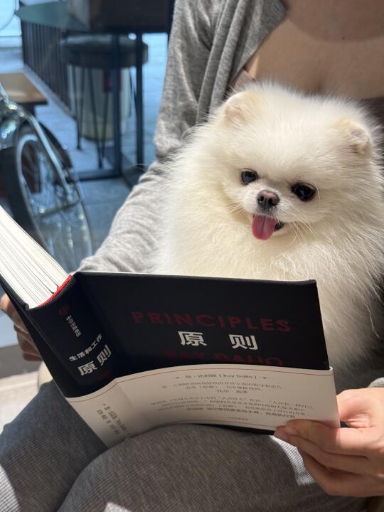 做狗也需要原则