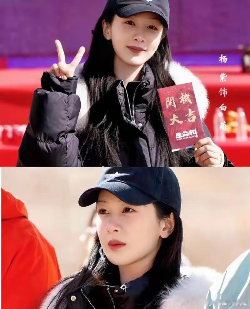 杨紫后援会争议一周后仍未恢复运营说好的解散重组，怎么就陷入停滞了？一边是财务明细