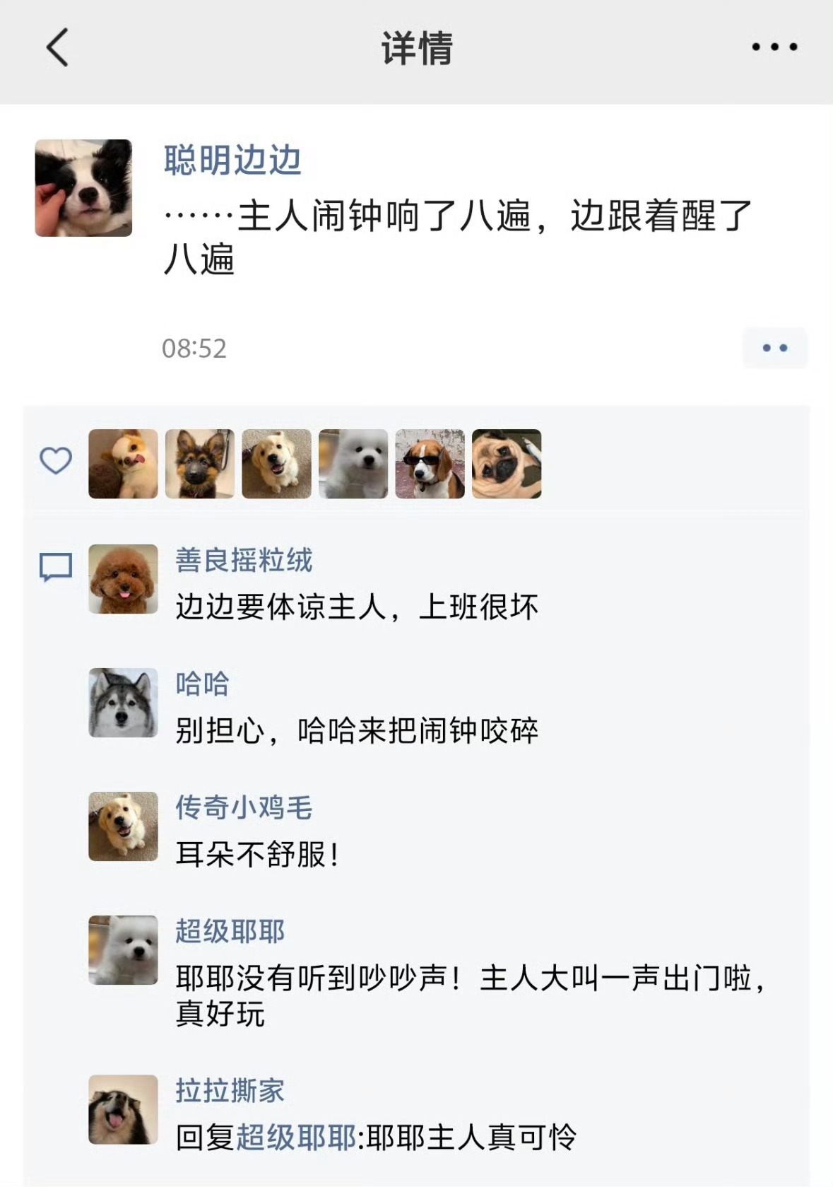 起猛了这一看也不是我朋友圈啊不小心看到了小狗朋友圈爆笑段子研究所