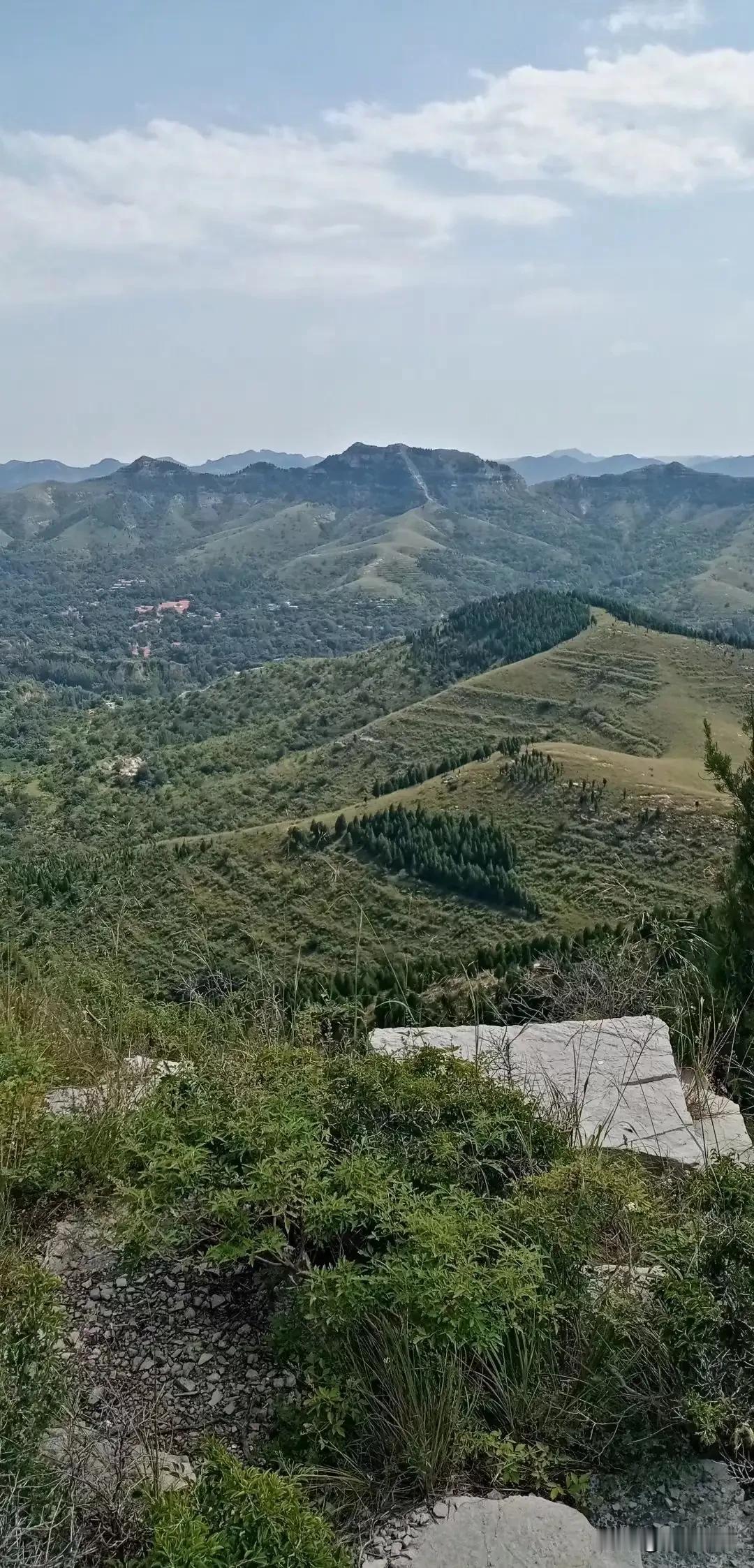 大龙山北坡