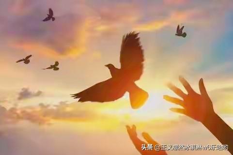哲学漫谈,人有真正的自由吗?
我觉得挺难的。英国思想家伯林把自由分为“消极的自由