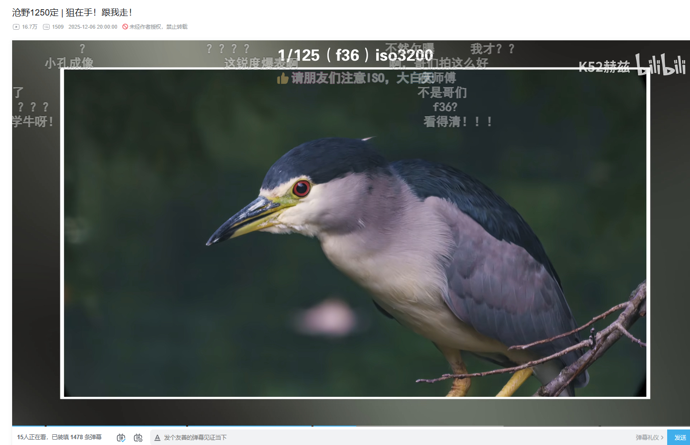 头一回看苍野的样张，也是牛的。。。与其说苍野1250定是相机镜头，不如说是PVC