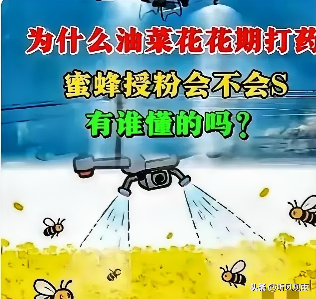 官方回应油菜喷药致蜂农损失惨重！在国际形势非常紧张的情况下，这事绝不简单！
油菜