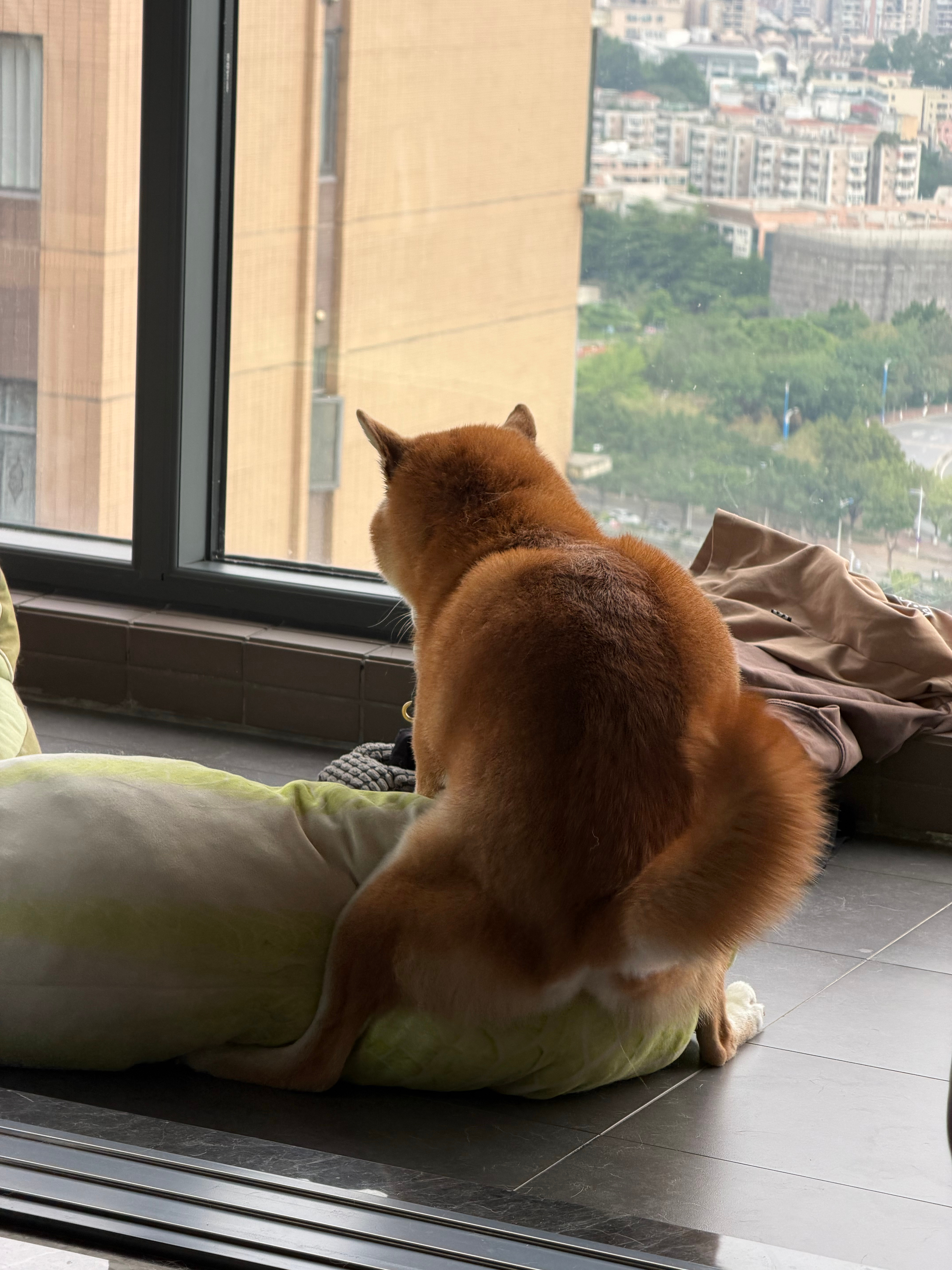 下雨天不能出门，把少爷憋坏了 