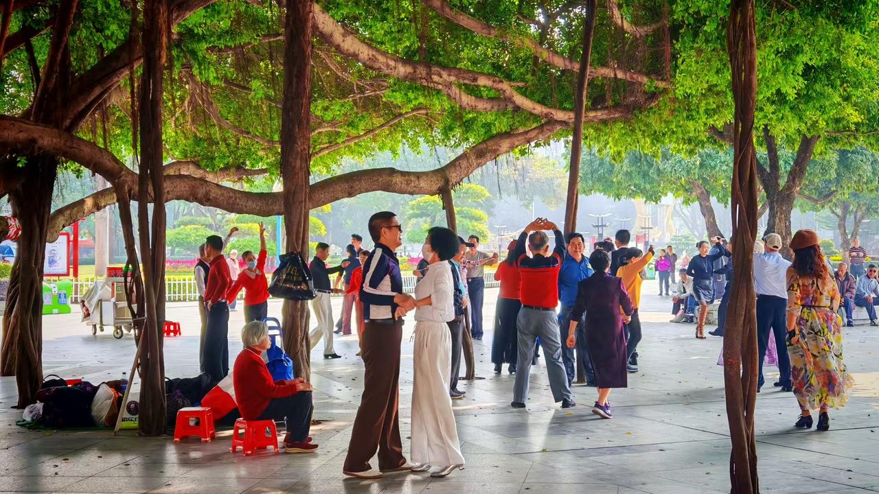 手机随手拍原创图片老榕的枝桠撑出整片清凉，晨光从叶隙漏下来，裹着舞步轻轻晃。红凳