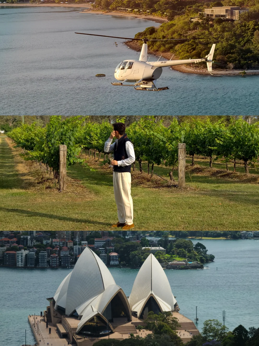 今年第三次飞南半球，来悉尼过春天💜