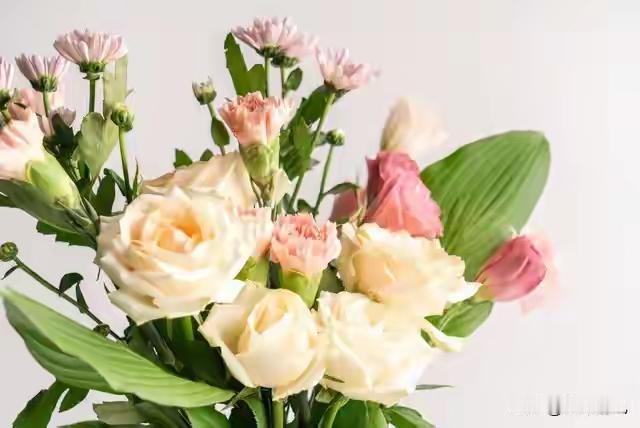 心底住着一个无法相拥的人，看哭了无数深夜未眠的灵魂
这句话充满了深情与哀愁，仿佛