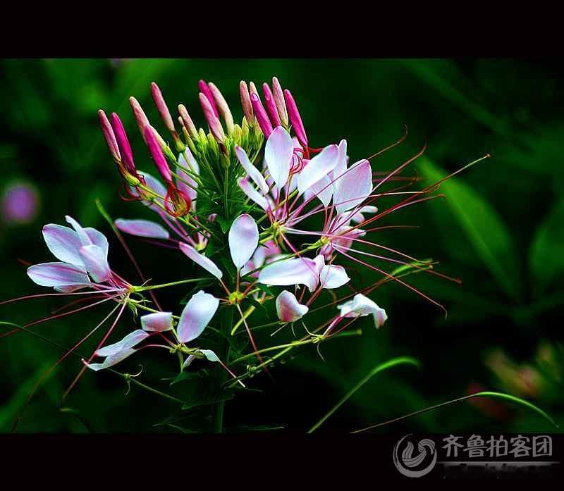 周一盘后传来新消息，周二依旧要轻指数、重个股！
周一盘后新消息如下：
其一，据媒