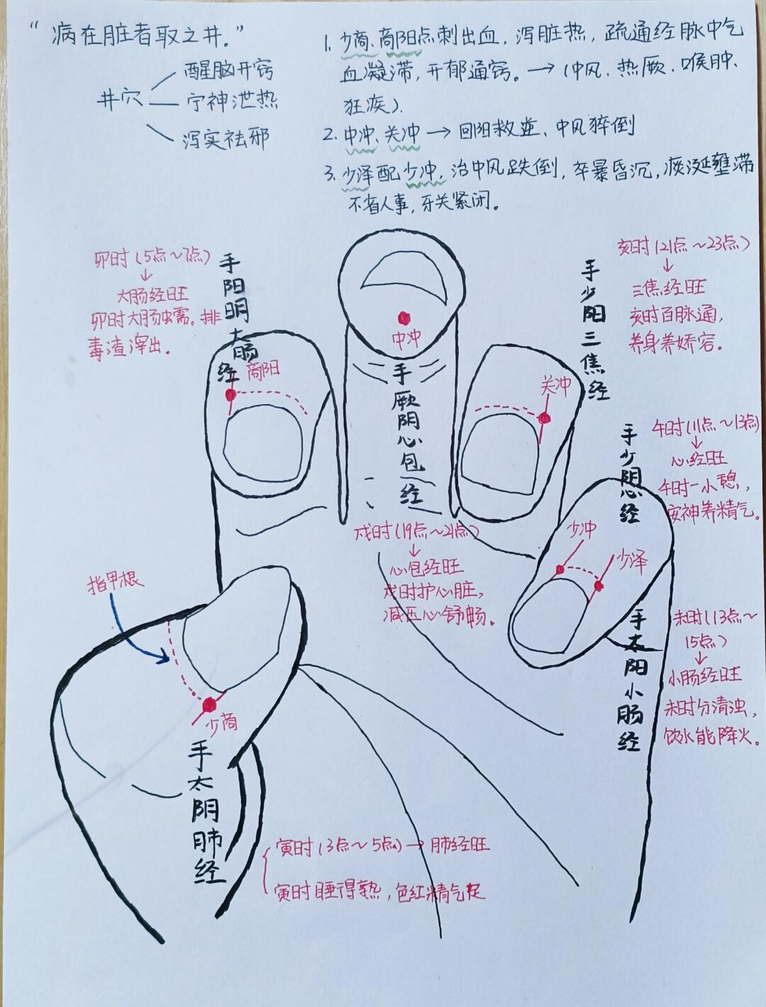 手部穴位Ⅰ人体手臂这六条经络有多重要 