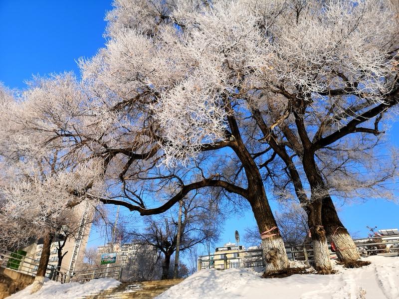 以前提到宁古塔，那可是令人闻风丧胆的苦寒之地。在古代，这里气候恶劣、环境艰苦，是