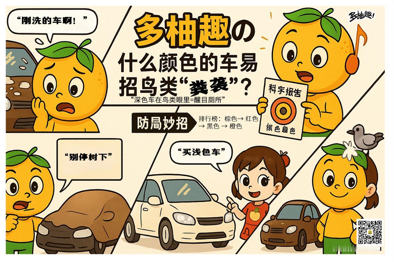 棕色的车最容易遭受鸟类的袭击。