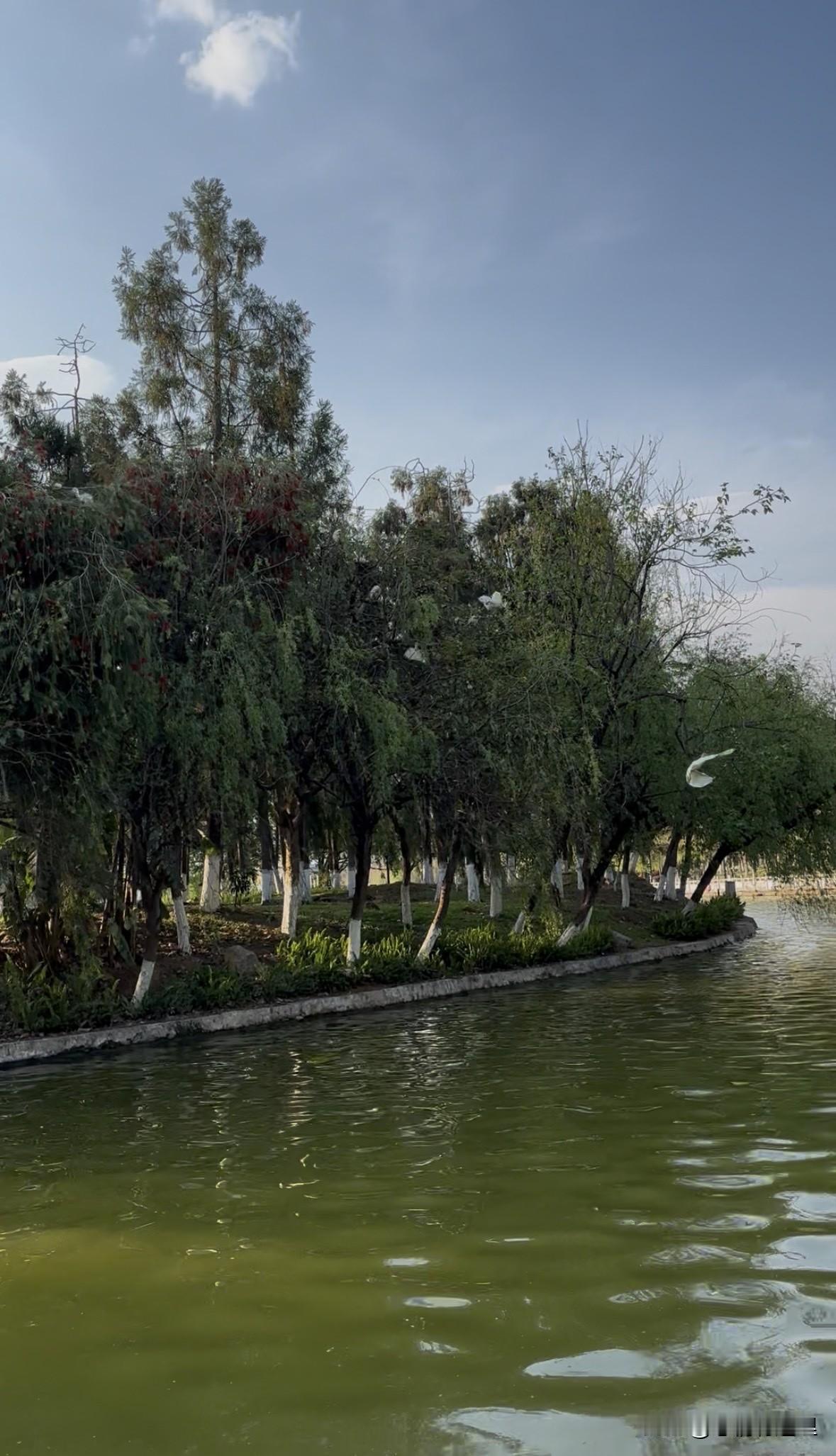 去云南旅游到了临沧，搜索到有名的玉龙湖公园就在宾馆附近，就急忙忙地赶去了。

湖