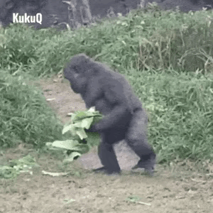 现在什么形式啊，当然是一点都不能浪费啊。