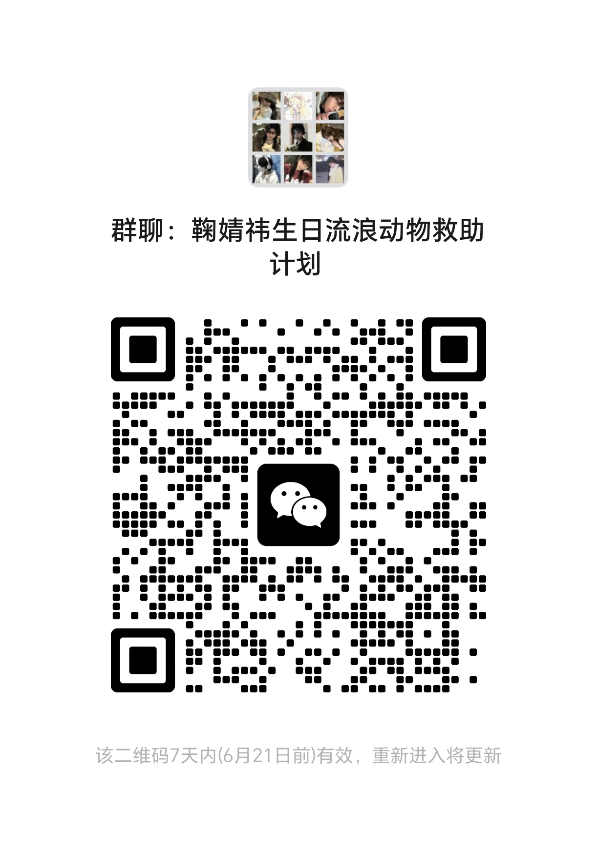 鞠婧祎周边市场 来帮帮小动物吧 