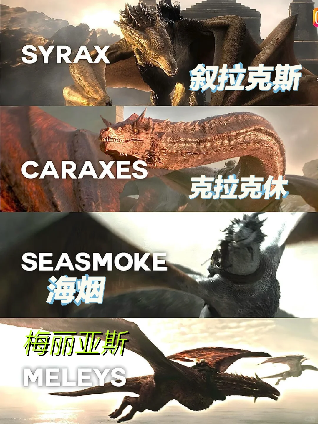 龙之家族中出现的巨龙