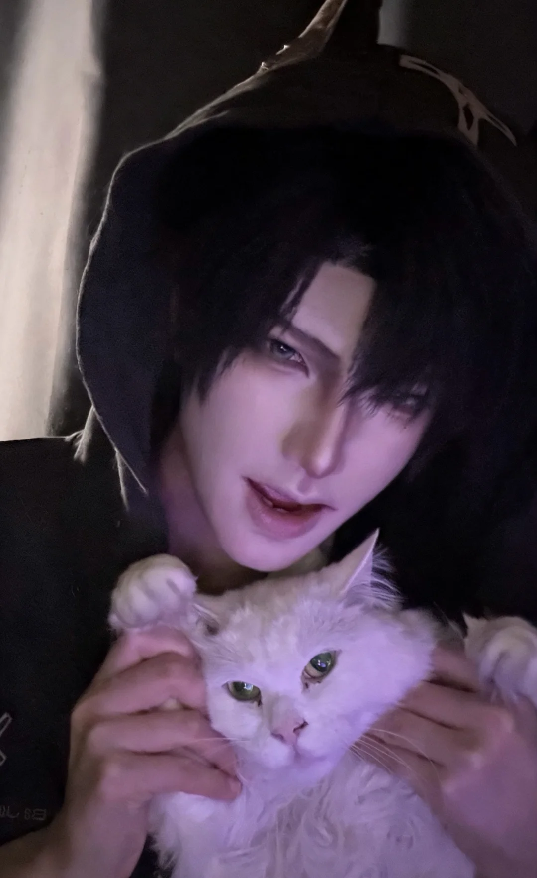 “猫咪的愿望是给所有会呼吸的狗一拳”