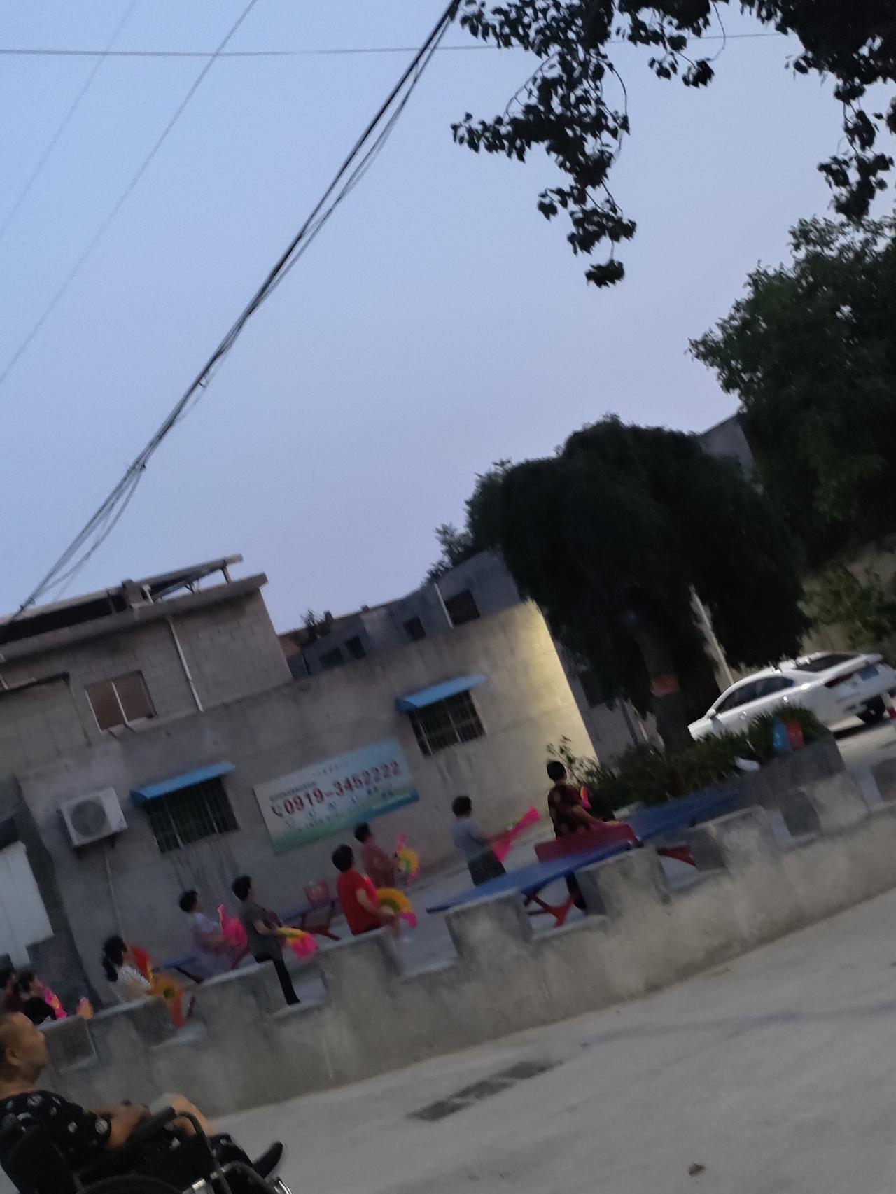 夏季随拍:小院藏着四季生机，景天缀满细碎黄花，月季悄悄绽开几朵嫣红。天色慢慢沉成