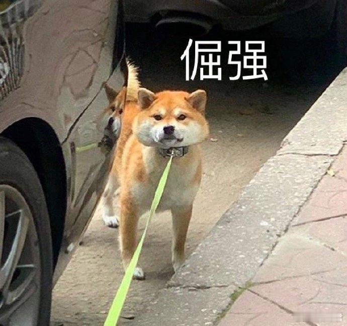 再战太阳，直觉即使哈登归来也救不了这支快船的下沉之势，而且哈登的命中率还会出现回