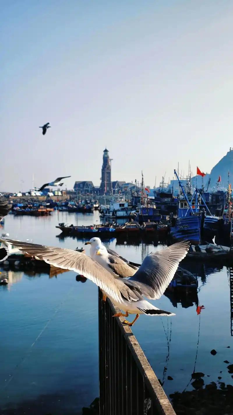 【1月23日最新消息】大连成东北首个GDP破万亿城市
辽宁省大连市统计局1月23