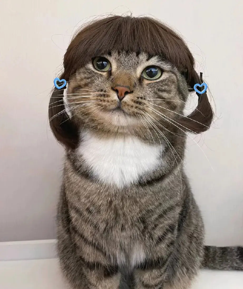 你们说哪个发型最好看[捂脸][捂脸]