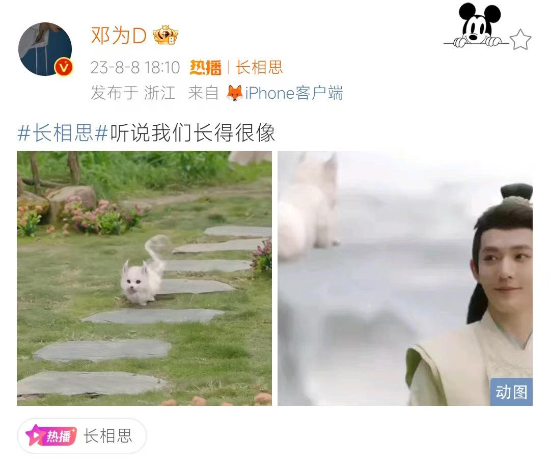 #涂山璟和神识小狐相似度# 邓为真的很懂涂山璟，涂山璟的神识小狐和涂山璟本人真的