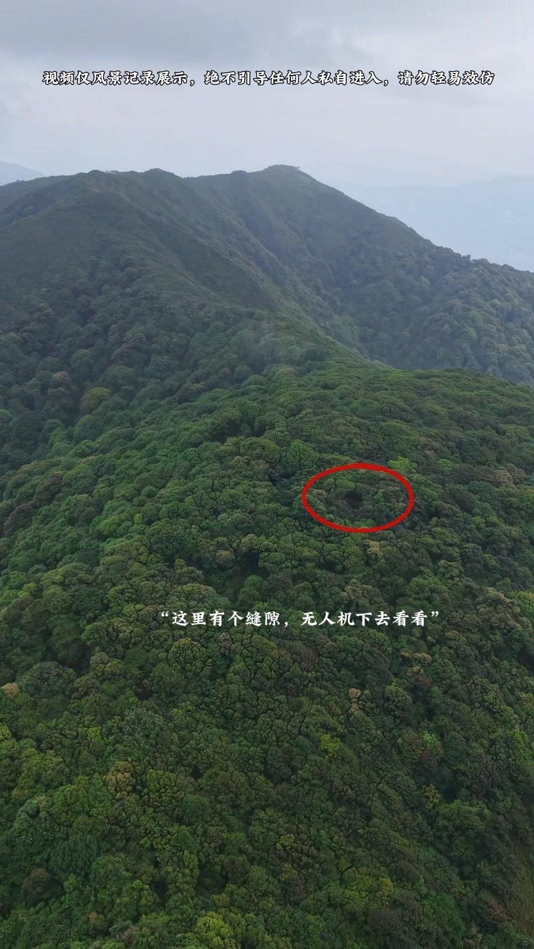 跟着老乡指引，用无人机闯入哀牢山深处，茂密的原始丛林真的震撼到我。阳光穿过树冠洒