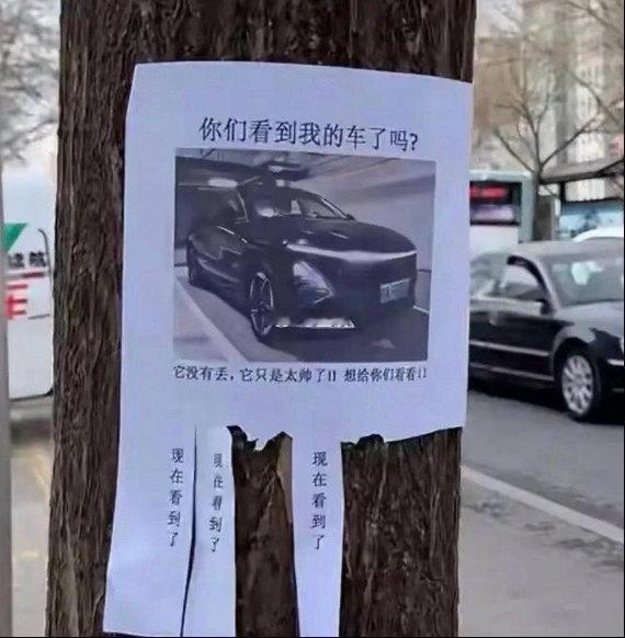 还真的被他装到了，车主一定是个逗比。 