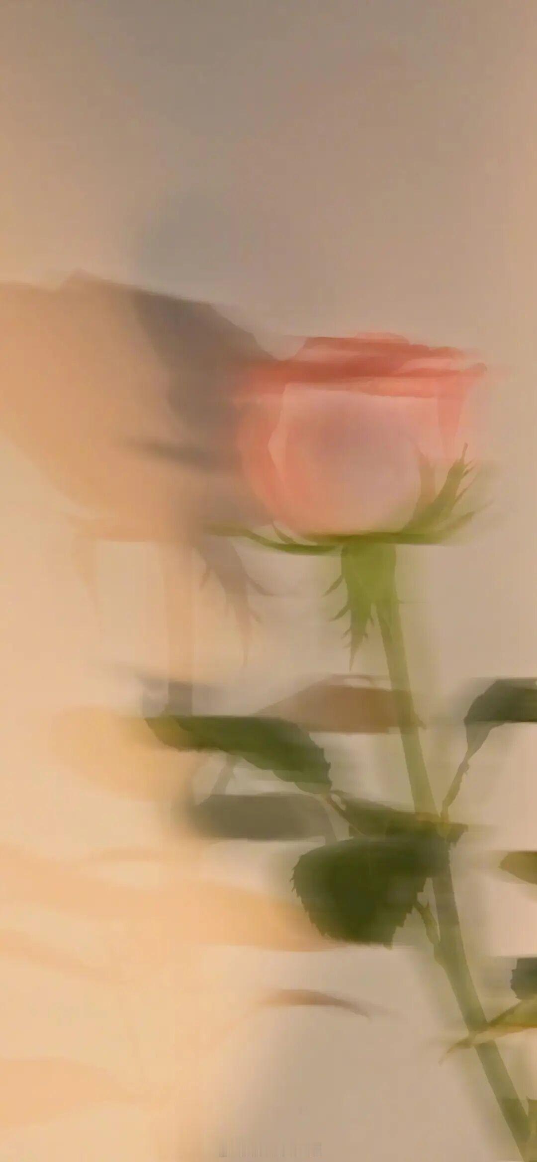 你是那个我想藏起来宝贝着的，更为特别的人。——《白日事故》晚安 ​​​