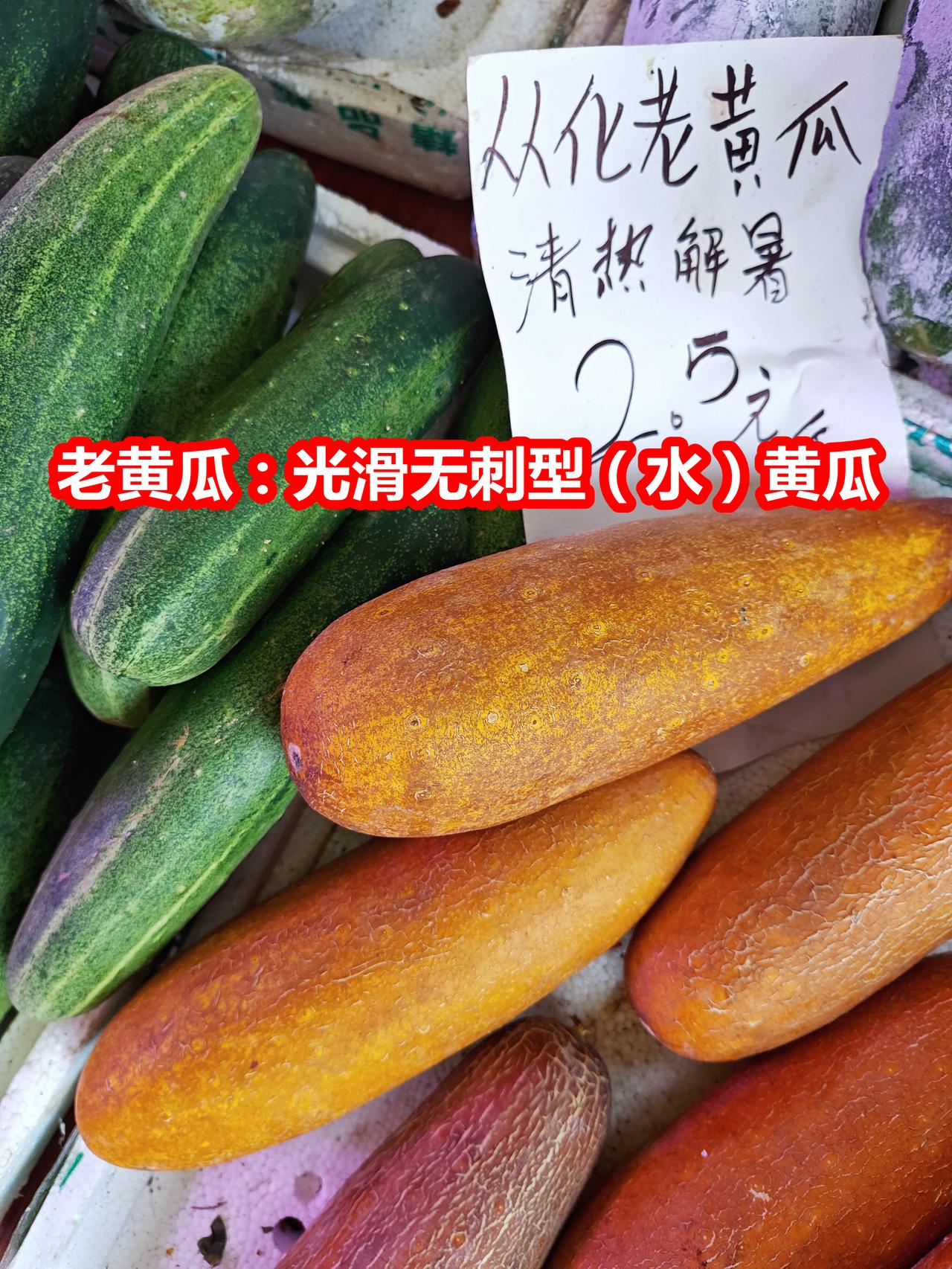 老黄瓜：光滑无刺型（水）黄瓜成熟体，煲汤一流。

多刺型黄瓜：北方种植为主，故又