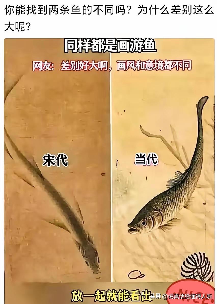 宋代鱼悠哉悠哉，现代鱼缺氧活着累