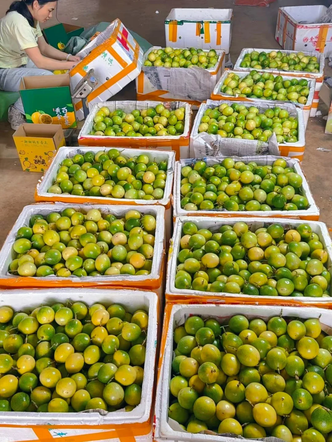 百香果口感越来越甜了哦，可以闭眼入了。